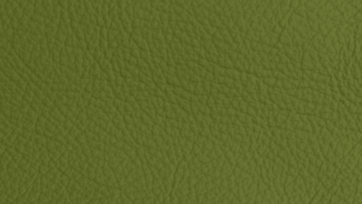Beispielbild eines grünes Leders für den Bucheinband von naturalNote aus veganem Apfelleder