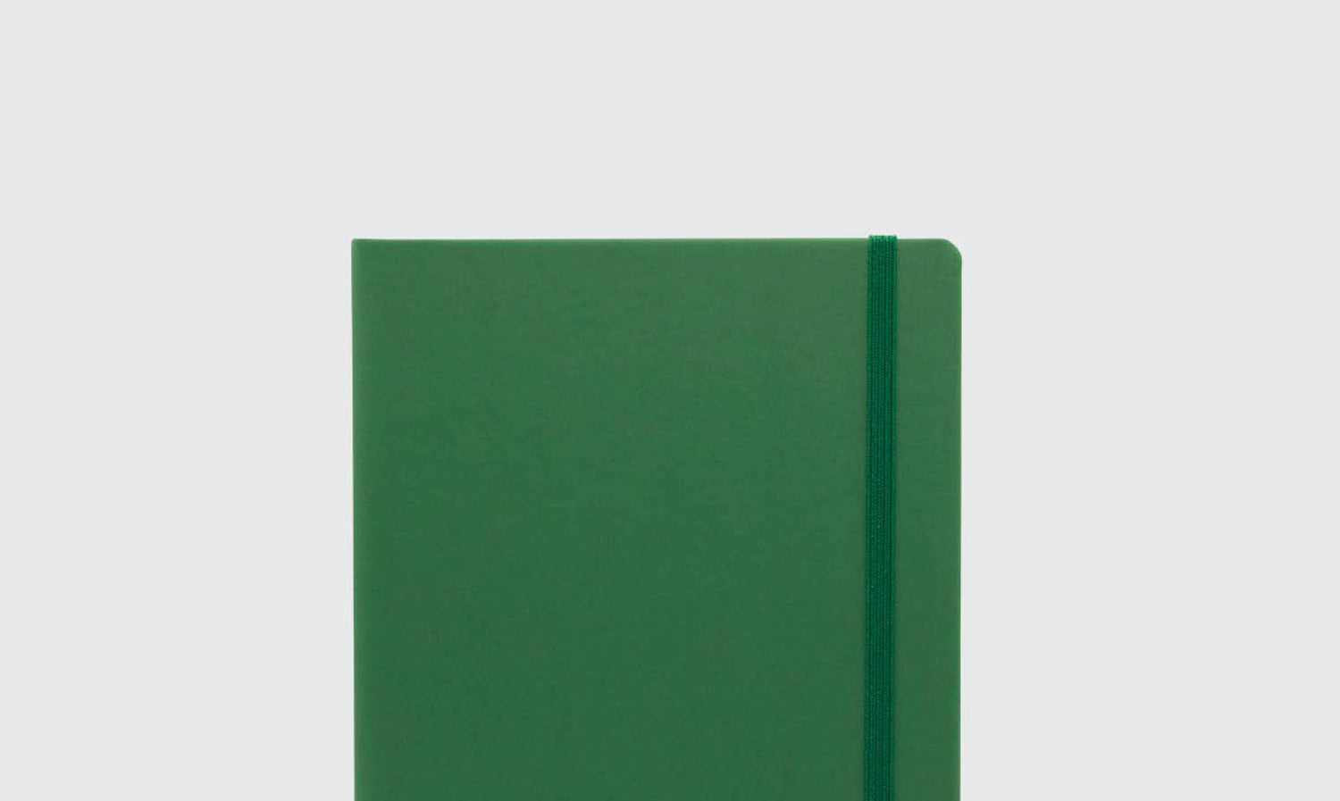 NOTIZBÜCHER MIT APFELLEDER