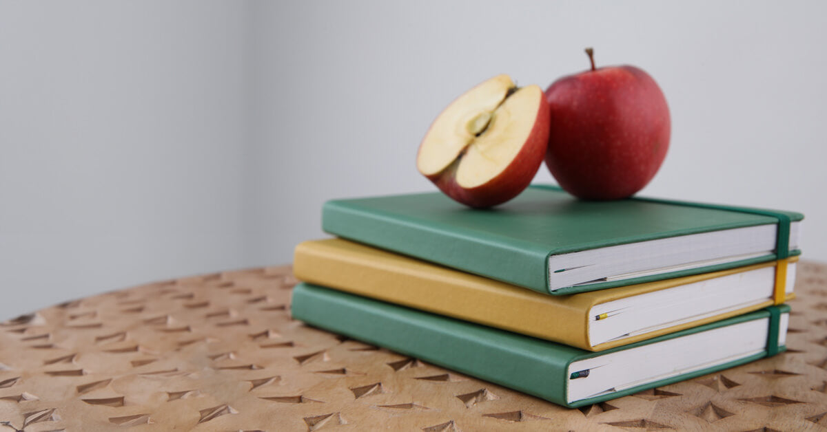 Nachhaltige Notizbücher aus Apfelleder von naturalNote